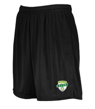 Load image into Gallery viewer, Youth Mesh Athletic Shorts
